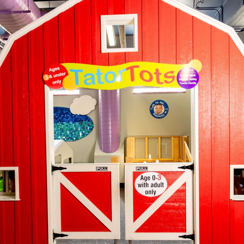 Tator Tots